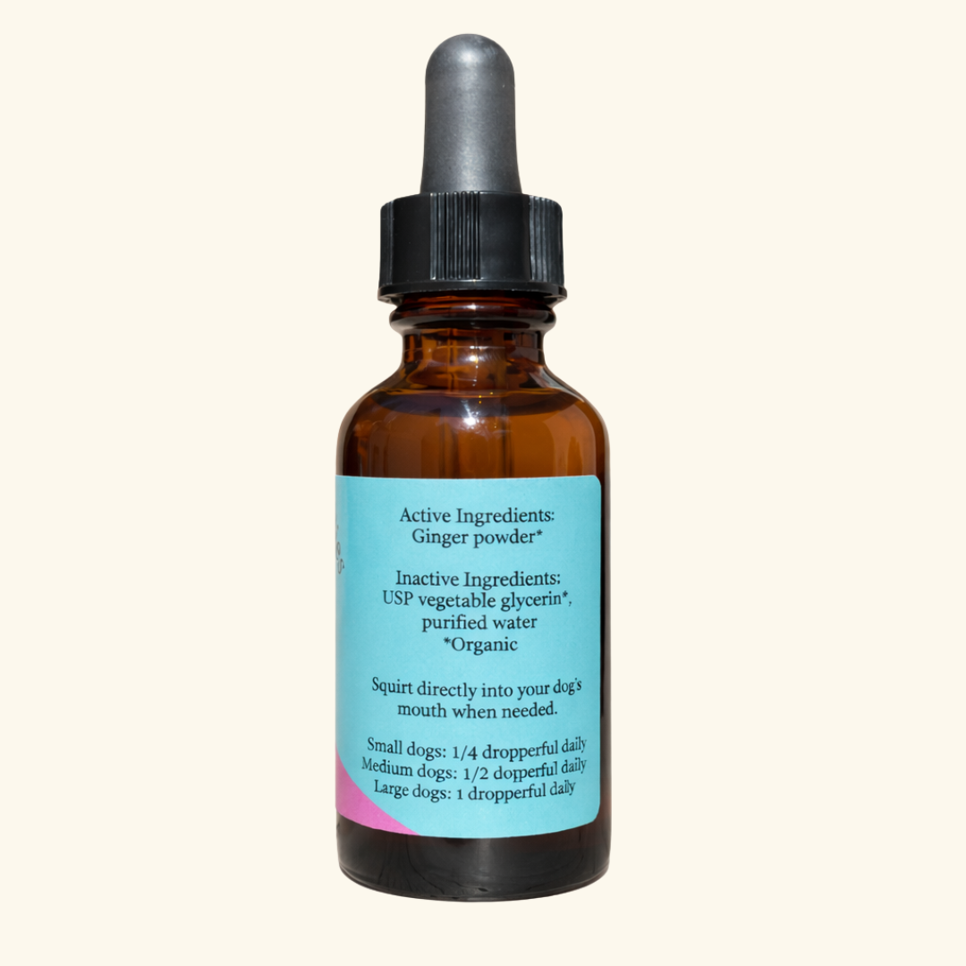 Digestive Health — Tummy Tonic Extract for Dogs & Cats | Herbal Gut Soother