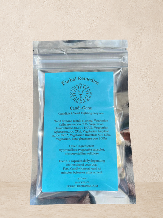 Digestive Support — Candi-Gone Enzyme Supplement for Dogs & Cats