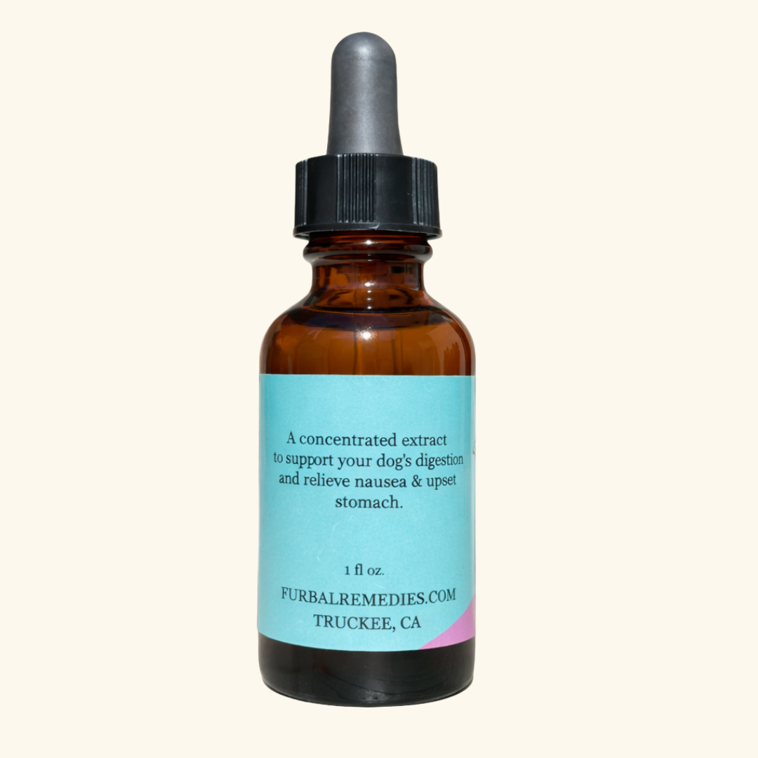 Digestive Health — Tummy Tonic Extract for Dogs & Cats | Herbal Gut Soother