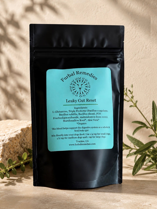 Digestive Health — Leaky Gut Reset Powder for Dogs & Cats