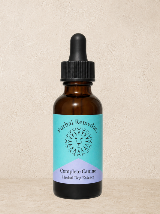 Dense Nutrition - Optimal Wellness — Complete Canine Extract for Dogs | Herbal Multivitamin & Whole-Body Support