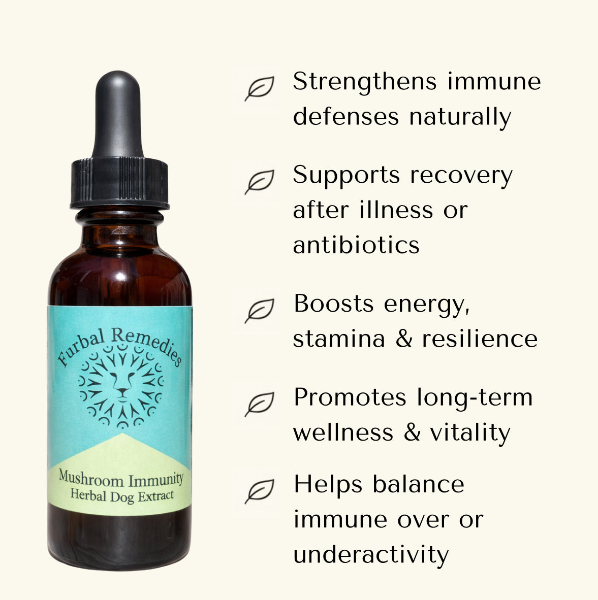 Immune Support — Medicinal Mushroom Immunity Extract for Dogs & Cats