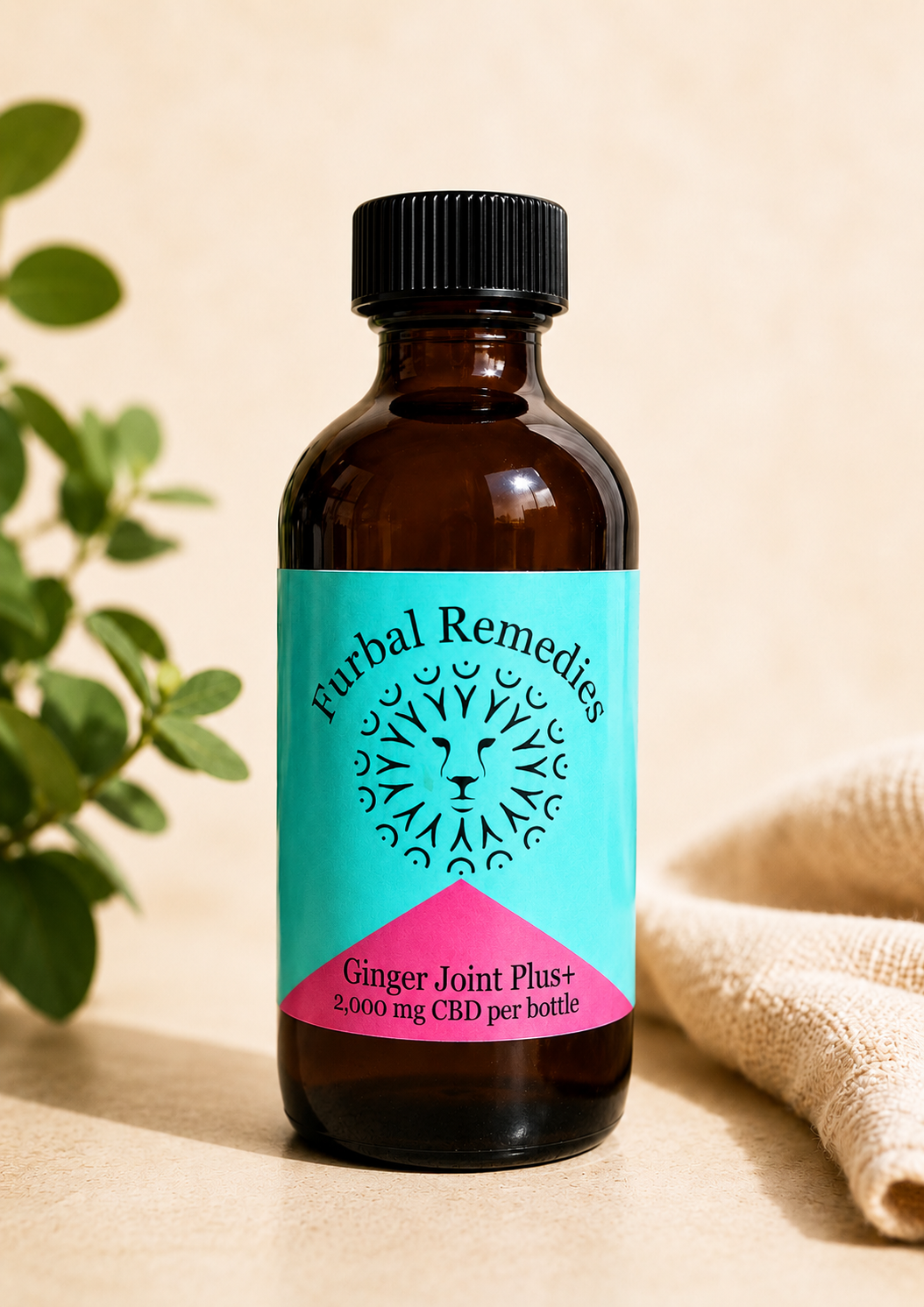 Joint Support — Ginger Joint Plus+ CBD Extract for Dogs & Cats