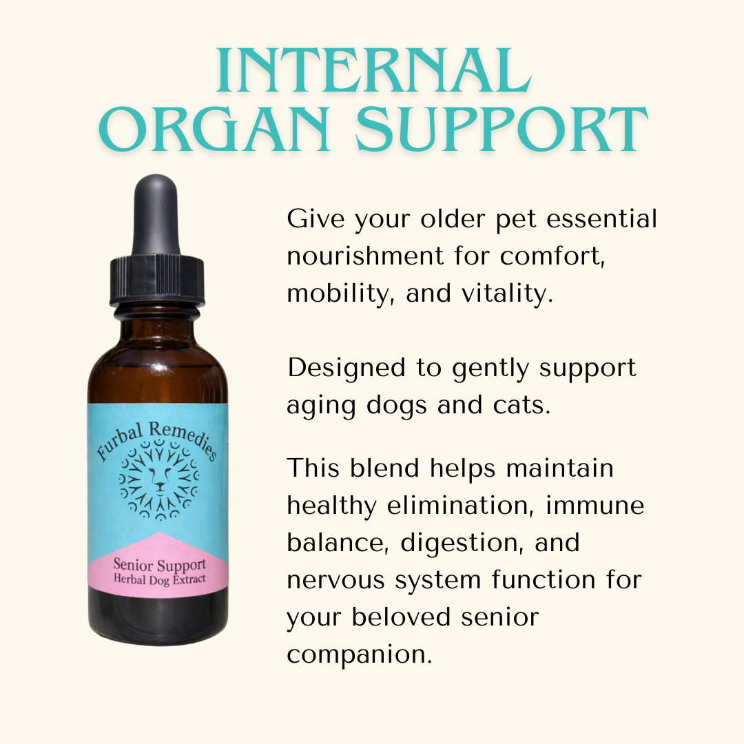 Leroy’s Senior Vitality Bundle