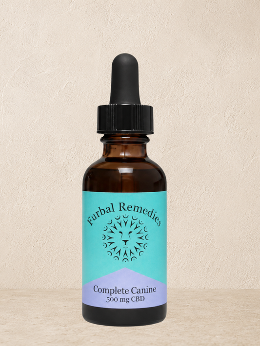 Dense Nutrition - Optimal Wellness — Complete Canine Plus+ CBD Extract for Dogs | Herbal Multivitamin & Whole-Body Support
