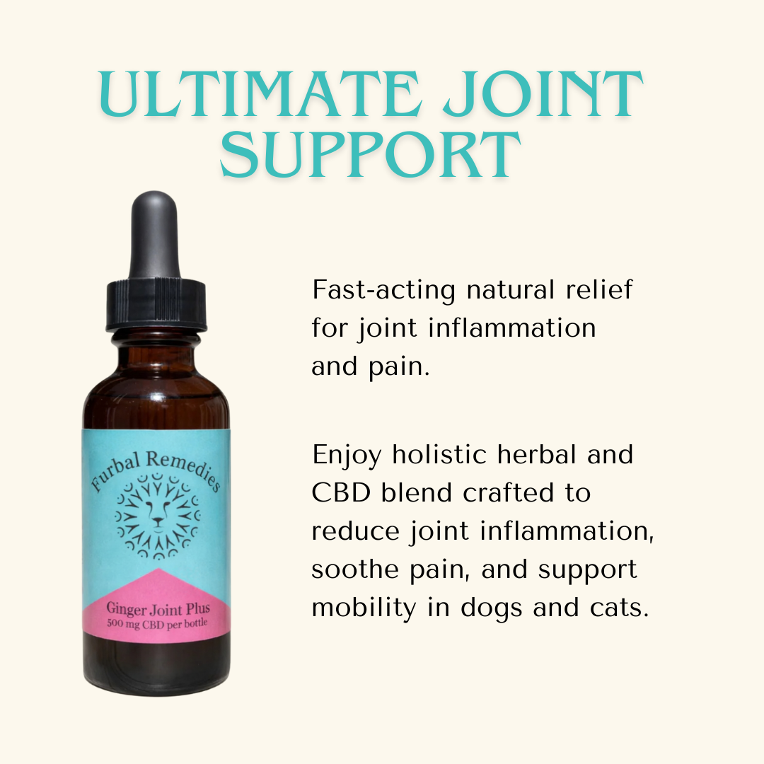 Leroy’s Senior Vitality Bundle