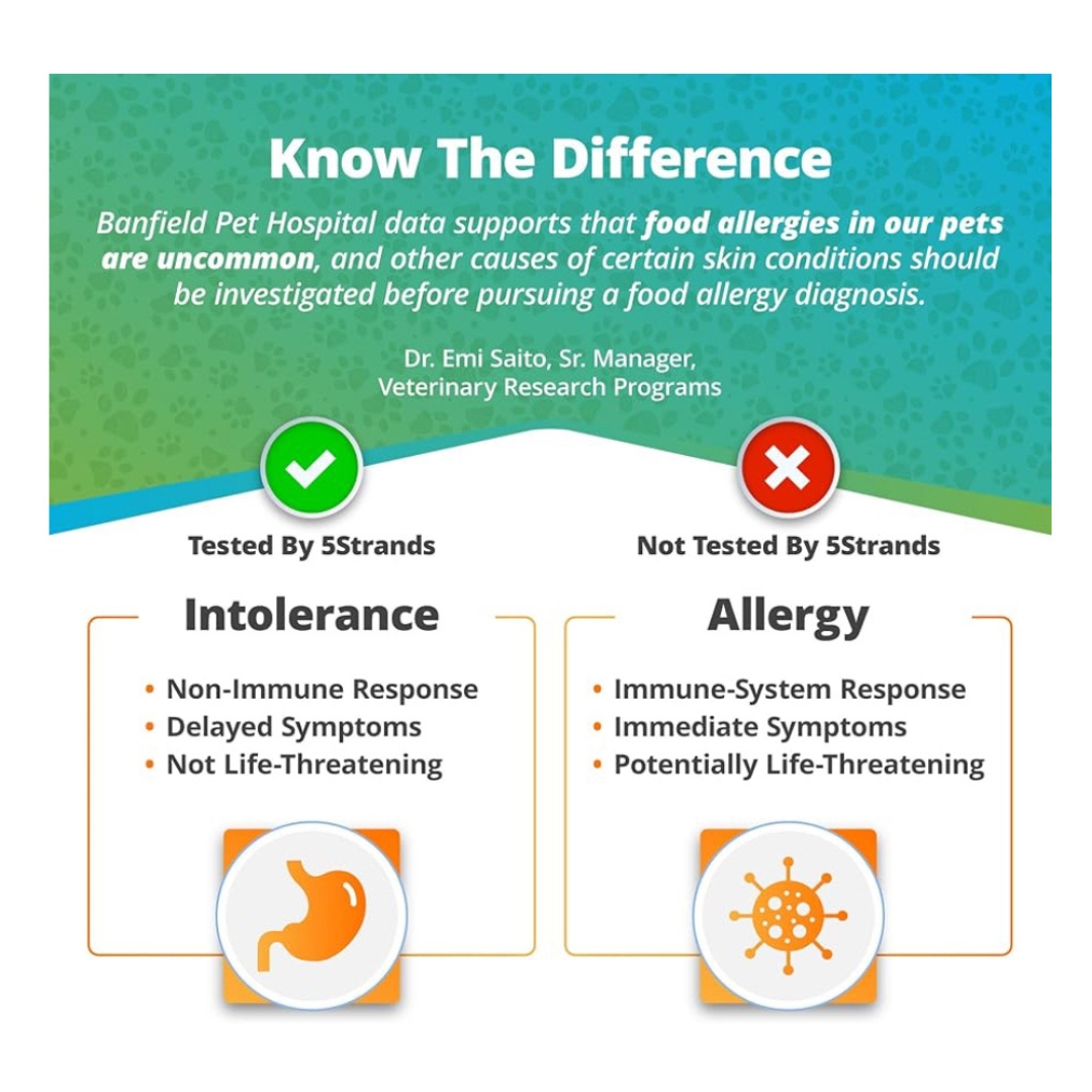 5-Strands - Pet Food Intolerance Test