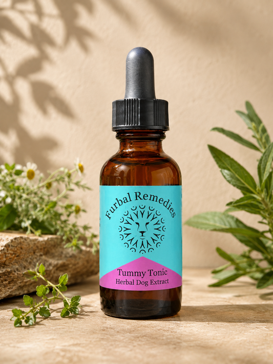 Digestive Health — Tummy Tonic Extract for Dogs & Cats | Herbal Gut Soother
