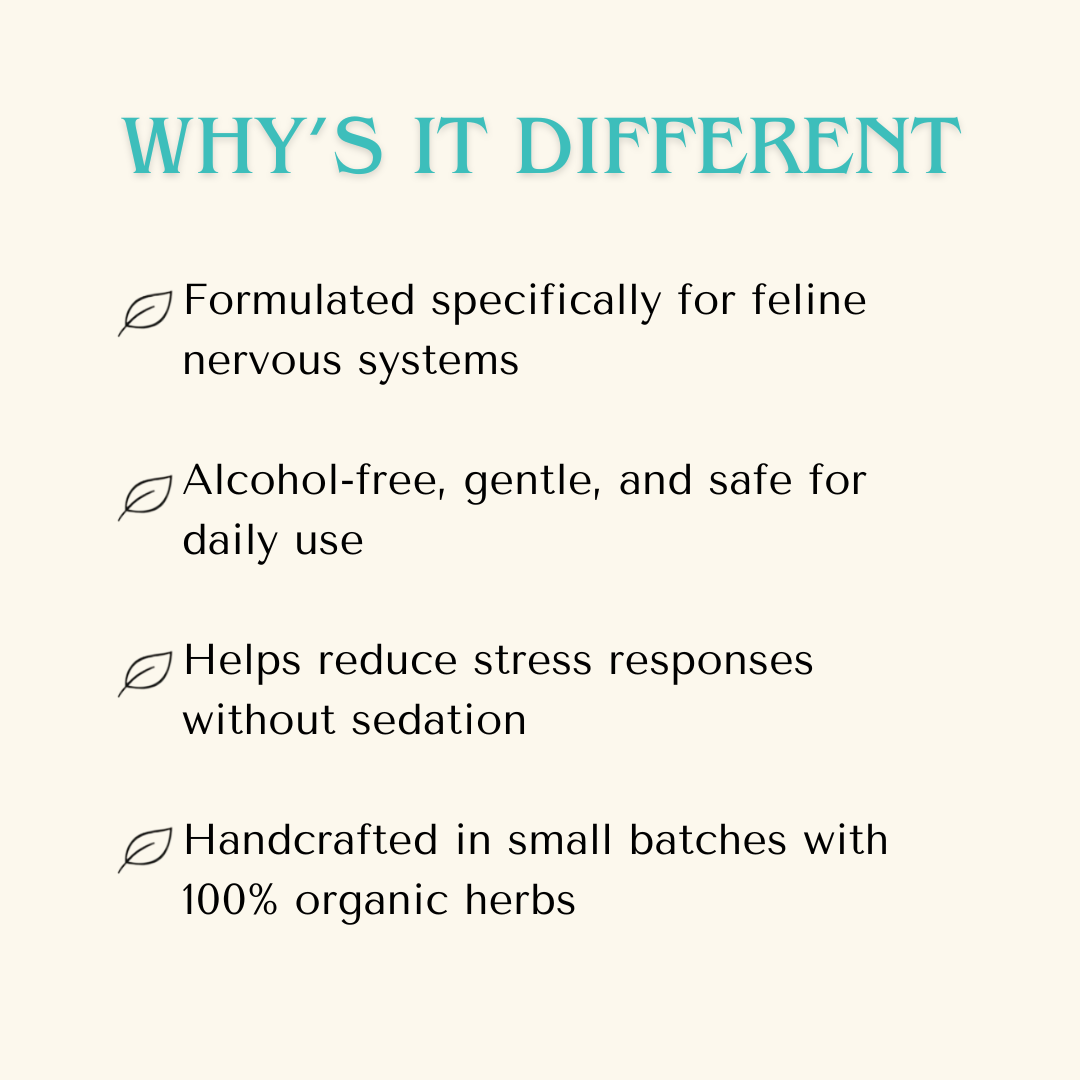 Anxiety — Feline Fast Relax Extract for Cats | Natural Cat Calming Drops