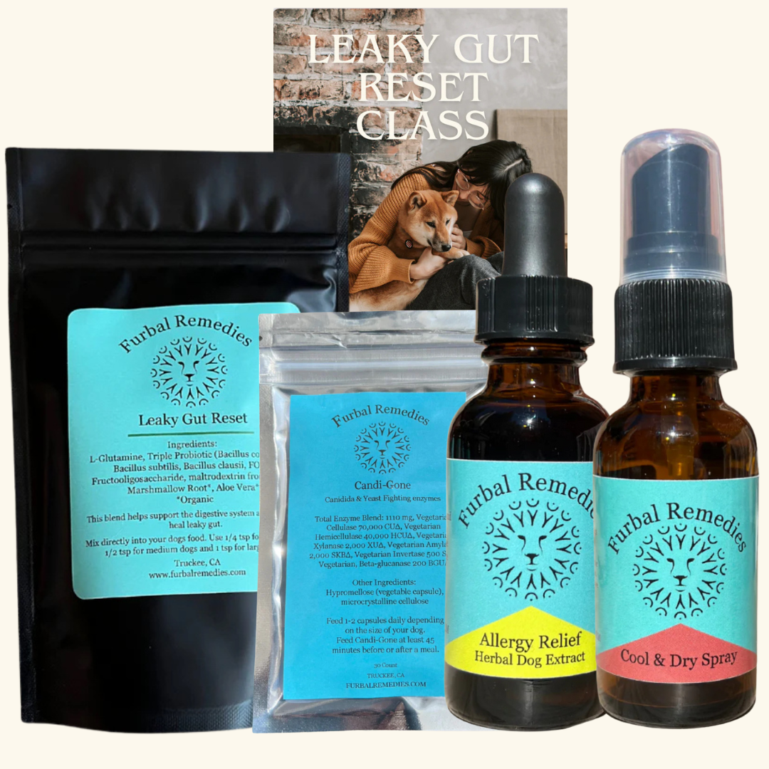 Black Friday Leaky Gut Reset Bundle + Course – Heal Your Dog’s Skin, Ear & Digestive Issues