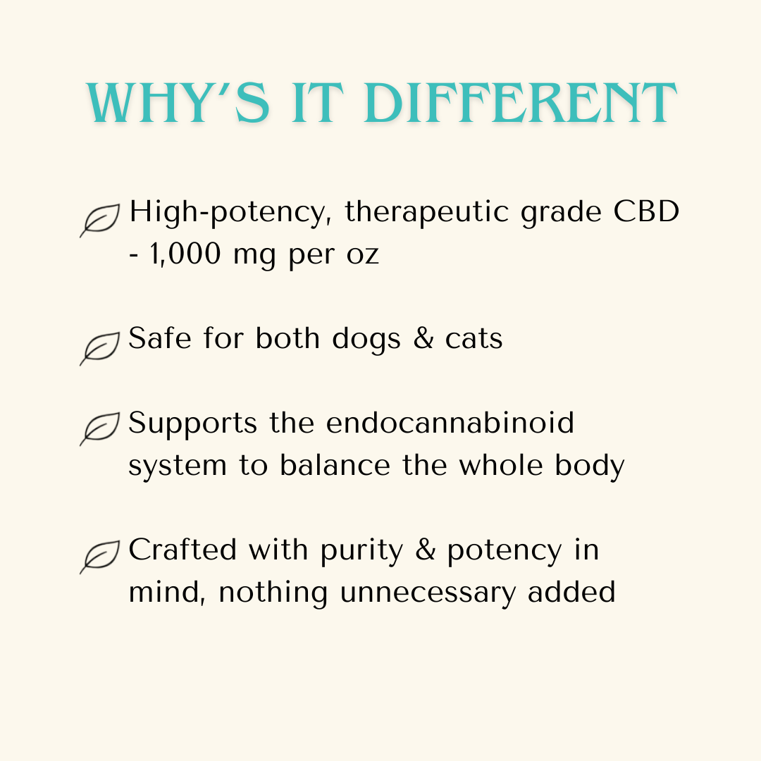 CBD Oil for Pain Relief and Anxiety for Dogs & Cats