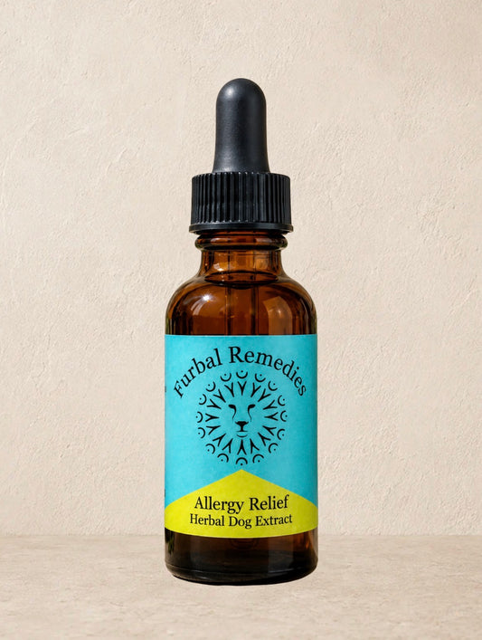 Allergy Relief — Allergy Relief Extract for Dogs | Itchy Skin & Seasonal Allergy Support