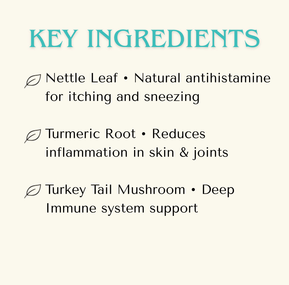 Allergy Relief — Allergy Relief Extract for Dogs | Itchy Skin & Seasonal Allergy Support