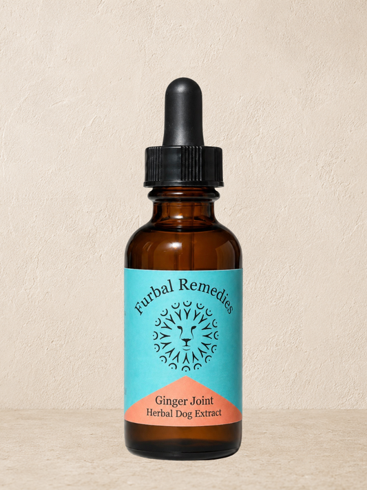 Joint Support — Ginger Joint Extract for Dogs & Cats