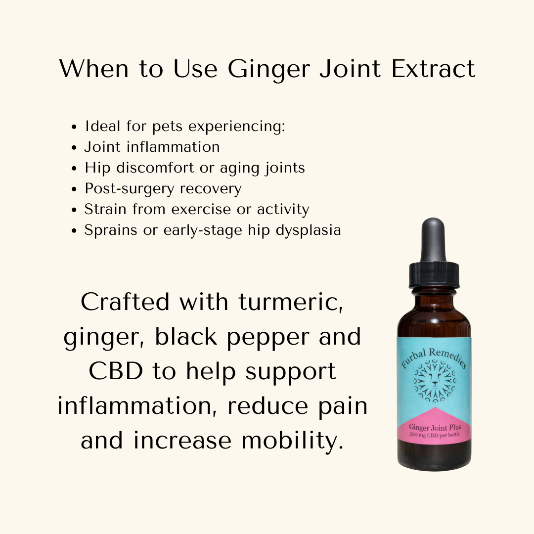 Leroy’s Senior Vitality Bundle