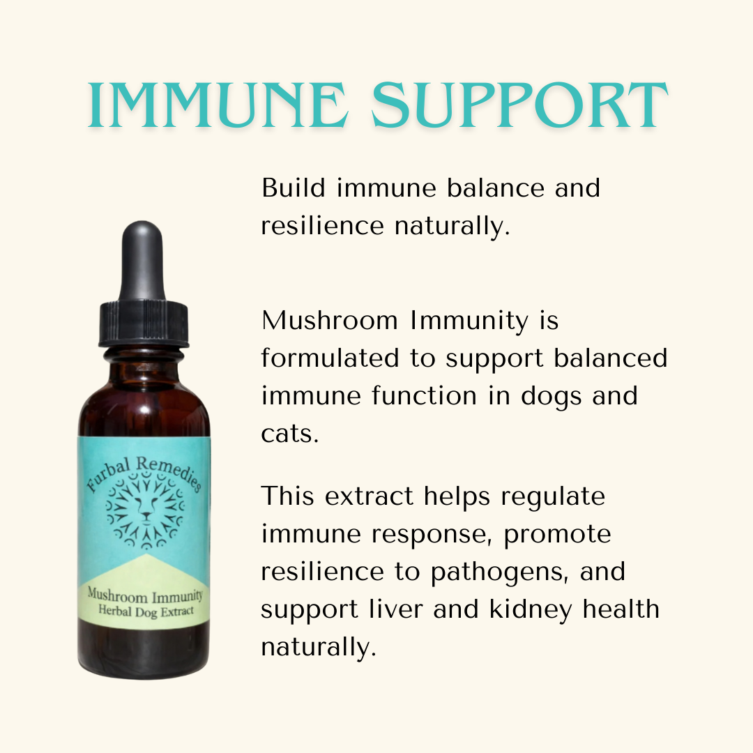 Leroy’s Senior Vitality Bundle