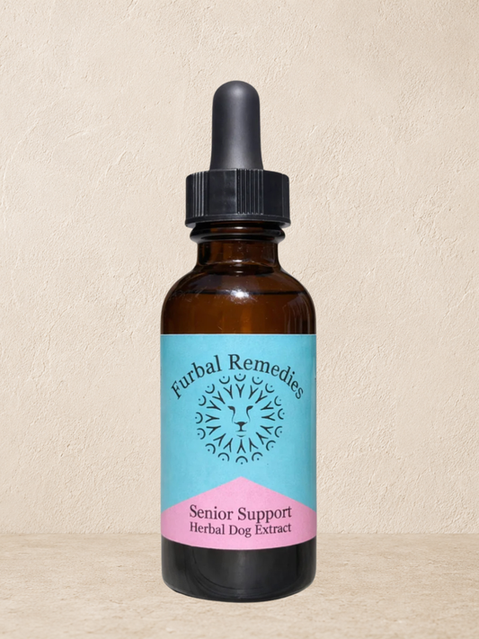 Senior Care — Senior Support Extract for Dogs & Cats