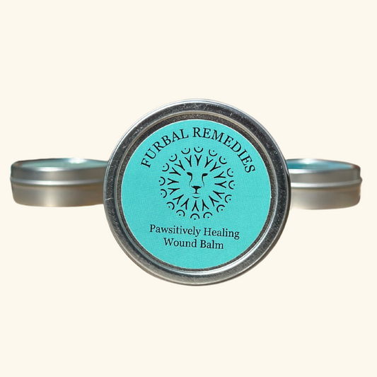 Topical Care - Pawsitively Healing Wound Balm - Canine & Feline First Aid