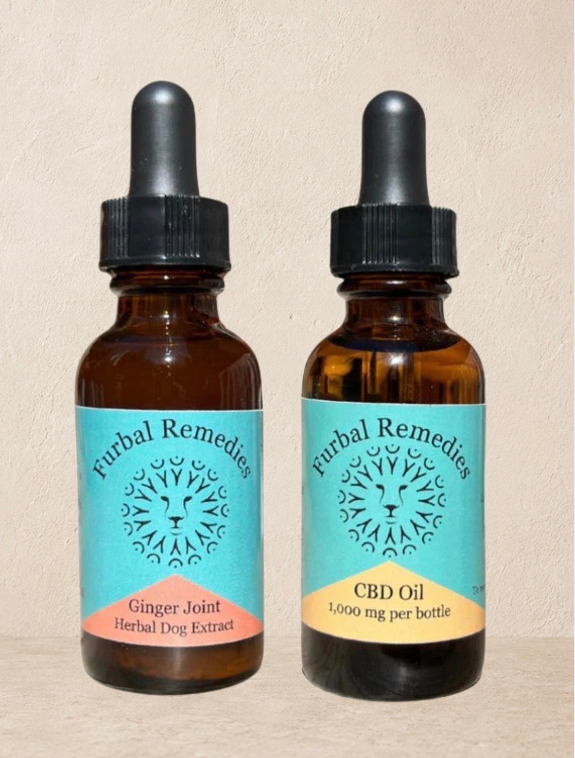 Joint Support — Recover Duo Bundle (Ginger Joint + CBD Oil) for Dogs and Cats