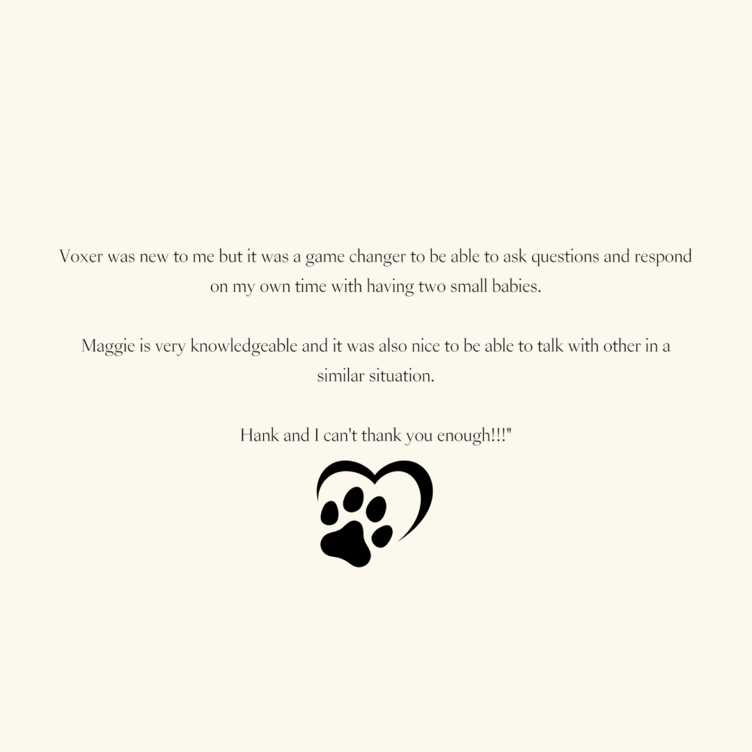 Digestive Intolerance Course — Leaky Gut Reset for Dogs