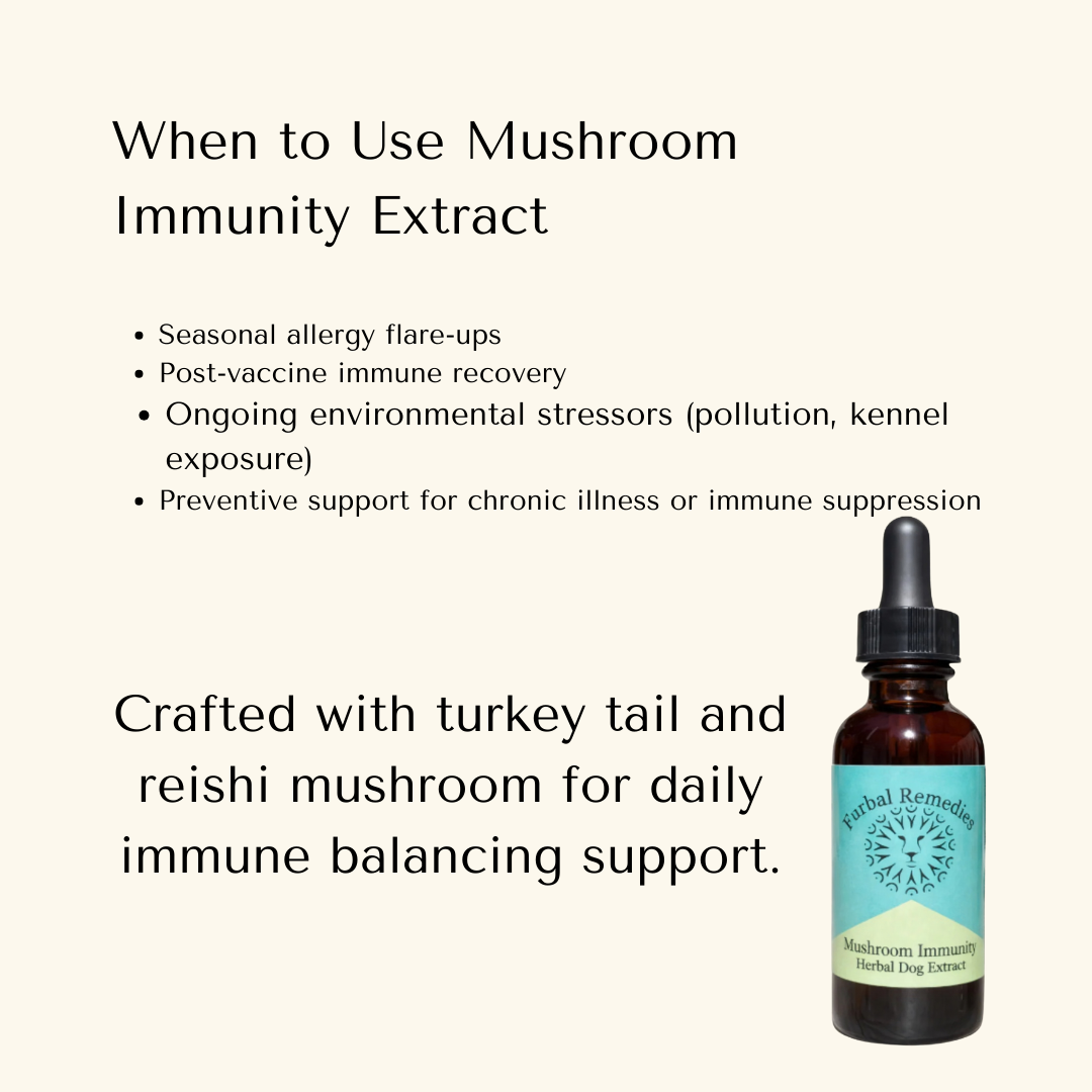 Leroy’s Senior Vitality Bundle