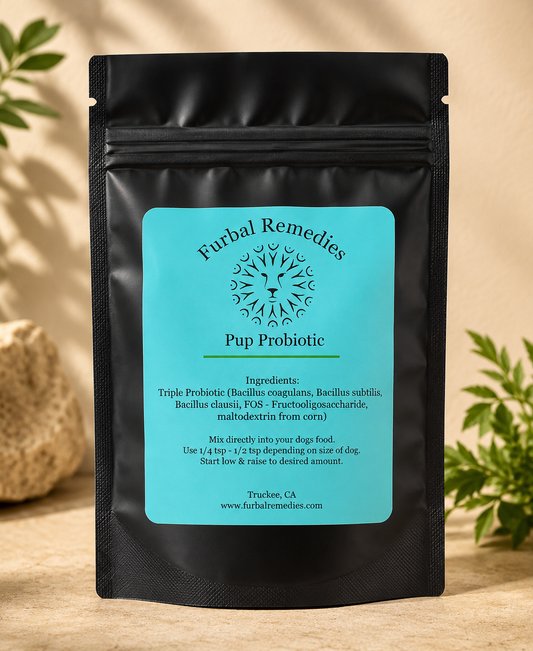 Digestive Health — Pup Probiotic for Dogs & Cats