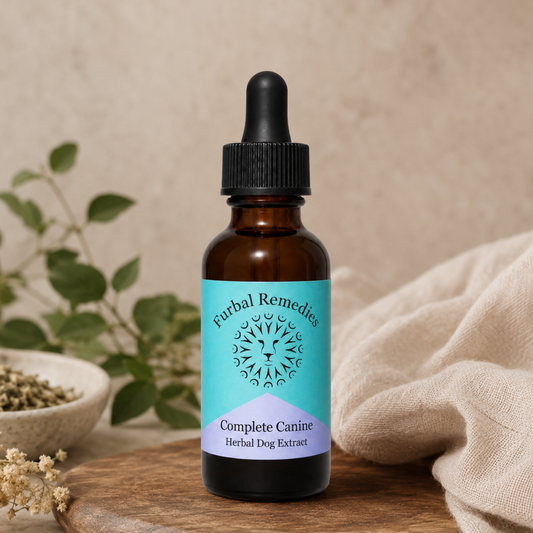 Dense Nutrition - Optimal Wellness — Complete Canine Extract for Dogs | Herbal Multivitamin & Whole-Body Support