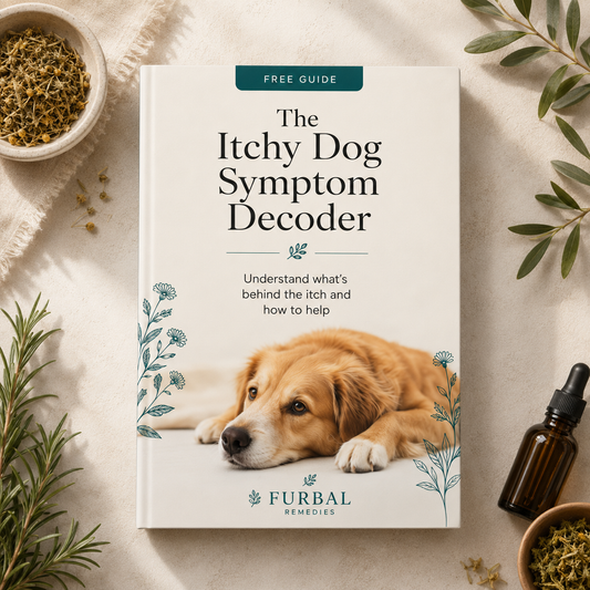 Digestive Intolerances: The Itchy Dog Symptom Decoder - Free Guide