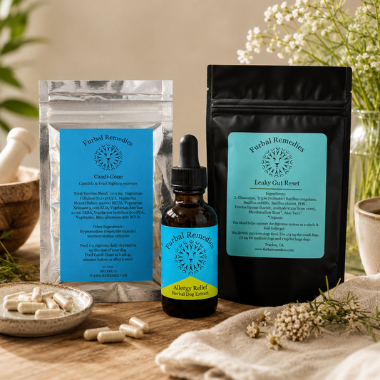 Digestive Health - Leaky Gut Reset + Allergy Extract + Candida Control Bundle