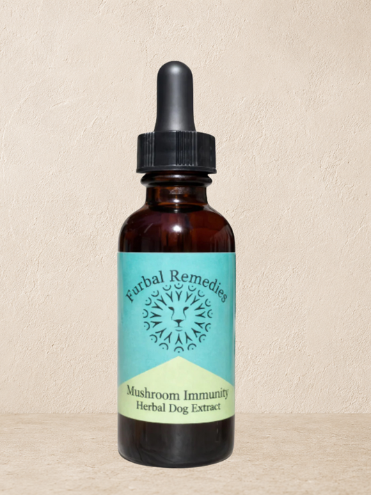 Immune Support — Medicinal Mushroom Immunity Extract for Dogs & Cats