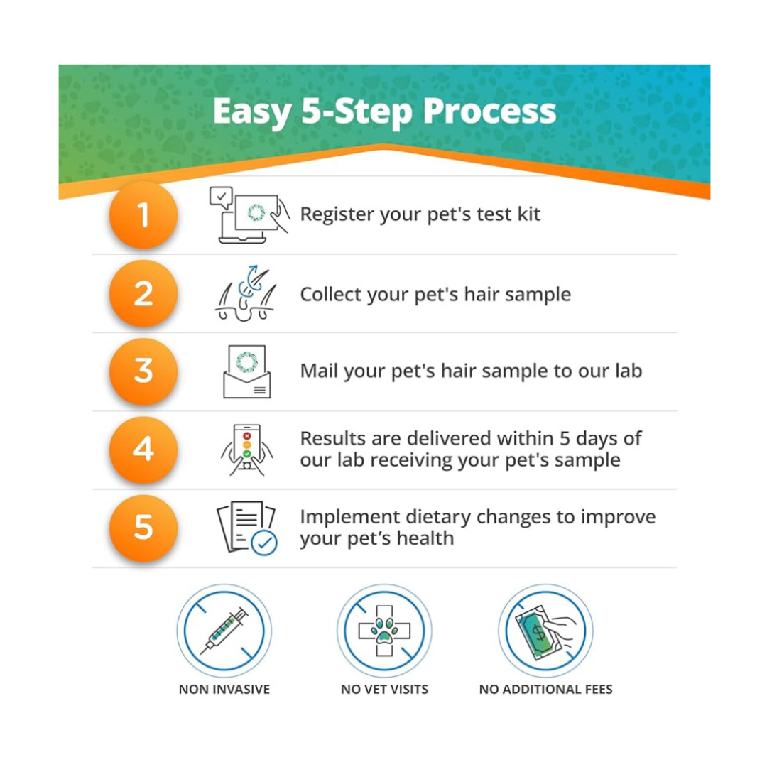 5-Strands - Pet Food Intolerance Test