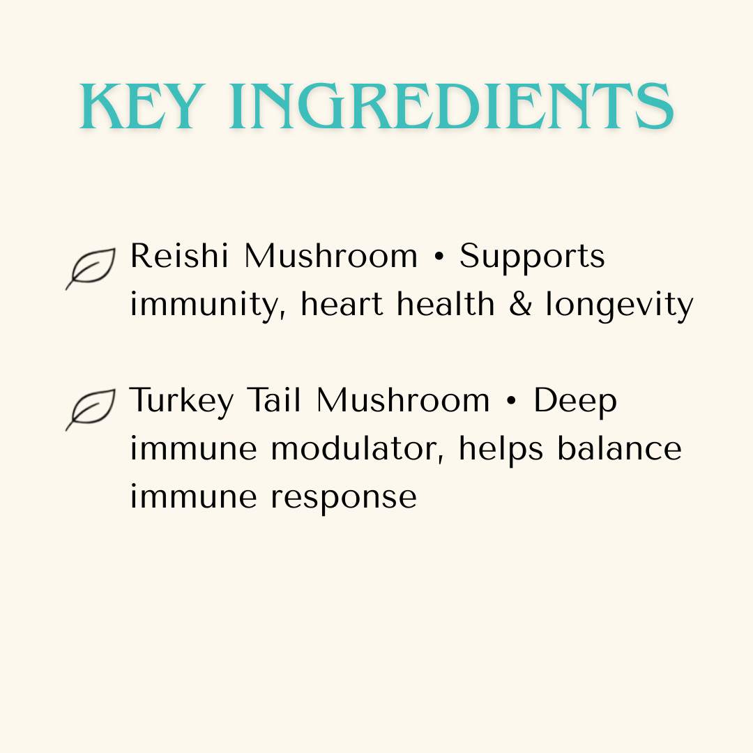 Immune Support — Medicinal Mushroom Immunity Extract for Dogs & Cats