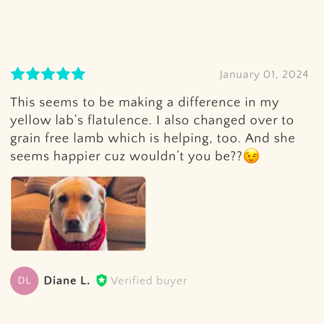 Digestive Health — Pup Probiotic for Dogs & Cats