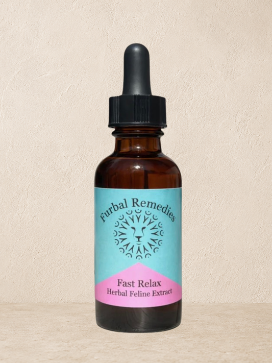 Anxiety — Feline Fast Relax Extract for Cats | Natural Cat Calming Drops