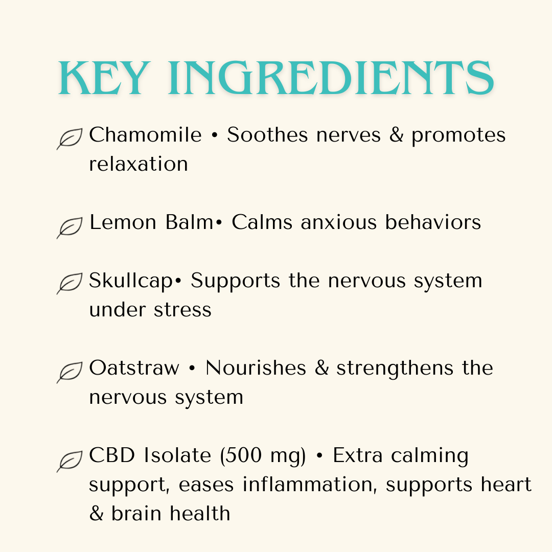 Anxiety — Fast Relax Plus+ CBD Extract for Dogs | Herbal CBD Calming Drops