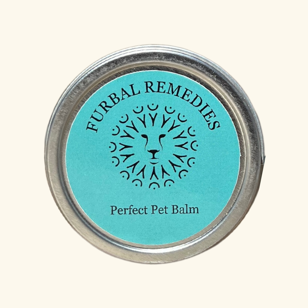 Topical Care - Perfect Pet Balm - Canine & Feline First Aid