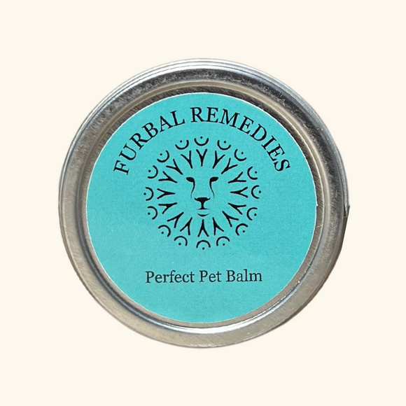 Topical Care - Perfect Pet Balm - Canine & Feline First Aid