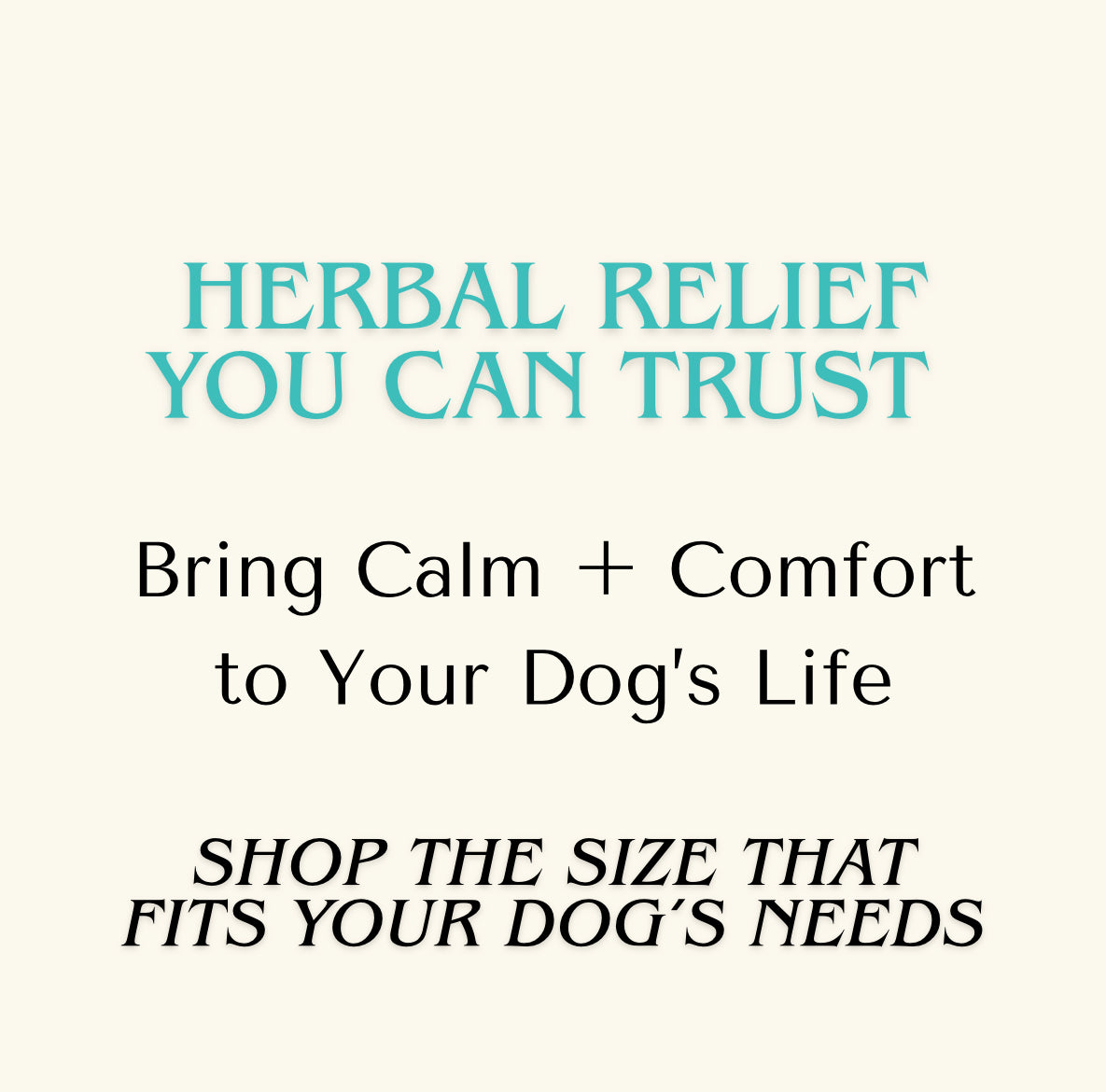 Anxiety — Fast Relax Plus+ CBD Extract for Dogs | Herbal CBD Calming Drops