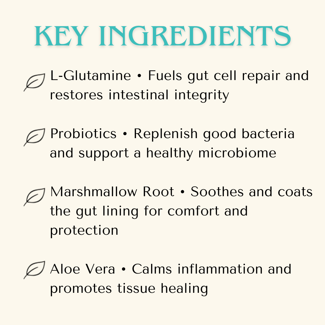 Digestive Health — Leaky Gut Reset Powder for Dogs & Cats