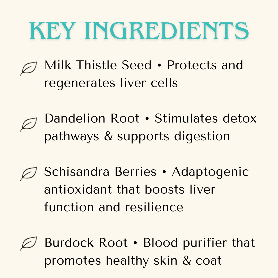 Liver Support - Full Detox Extract - Canine & Feline Supplement