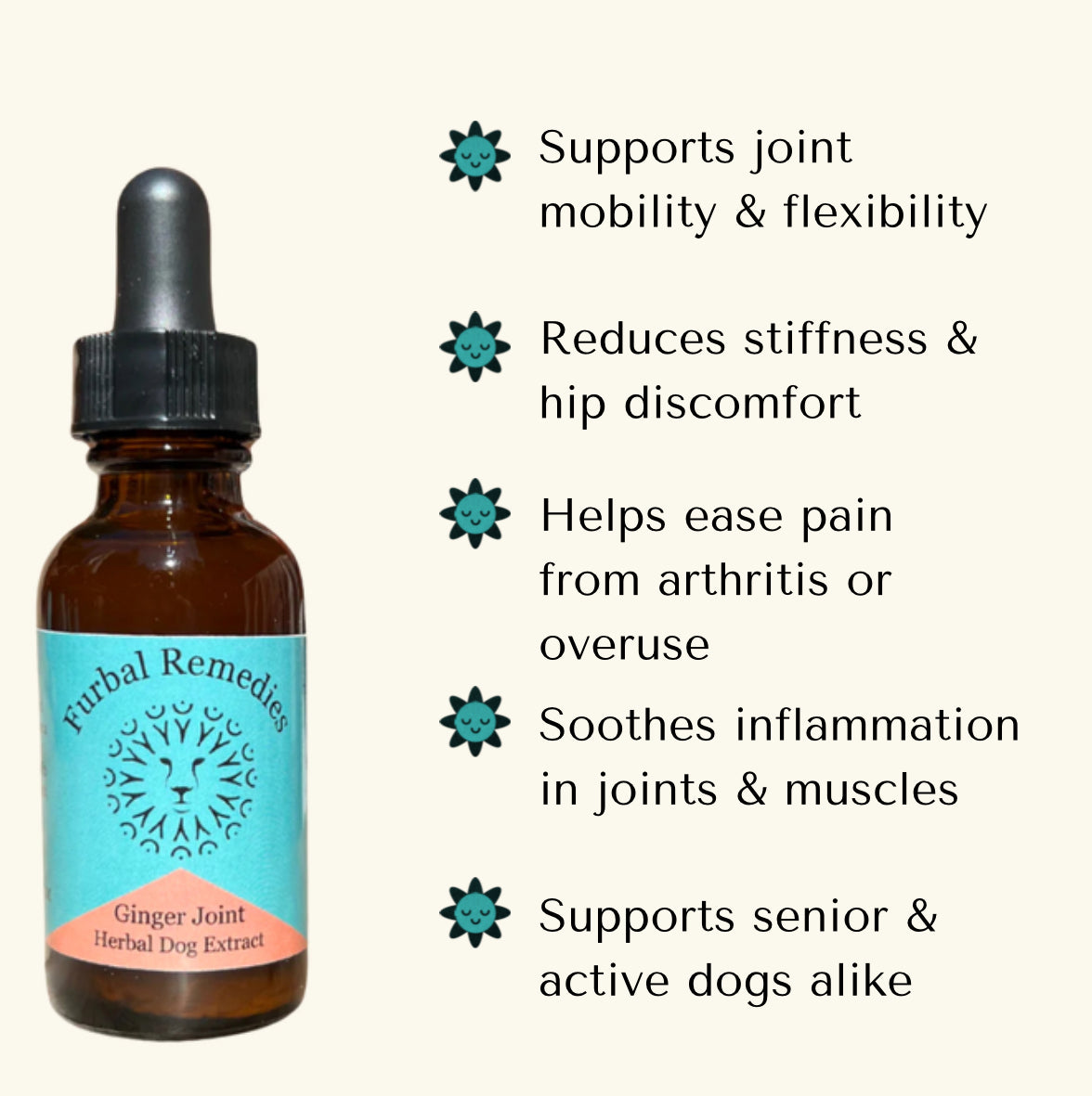 Joint Support — Ginger Joint Extract for Dogs & Cats