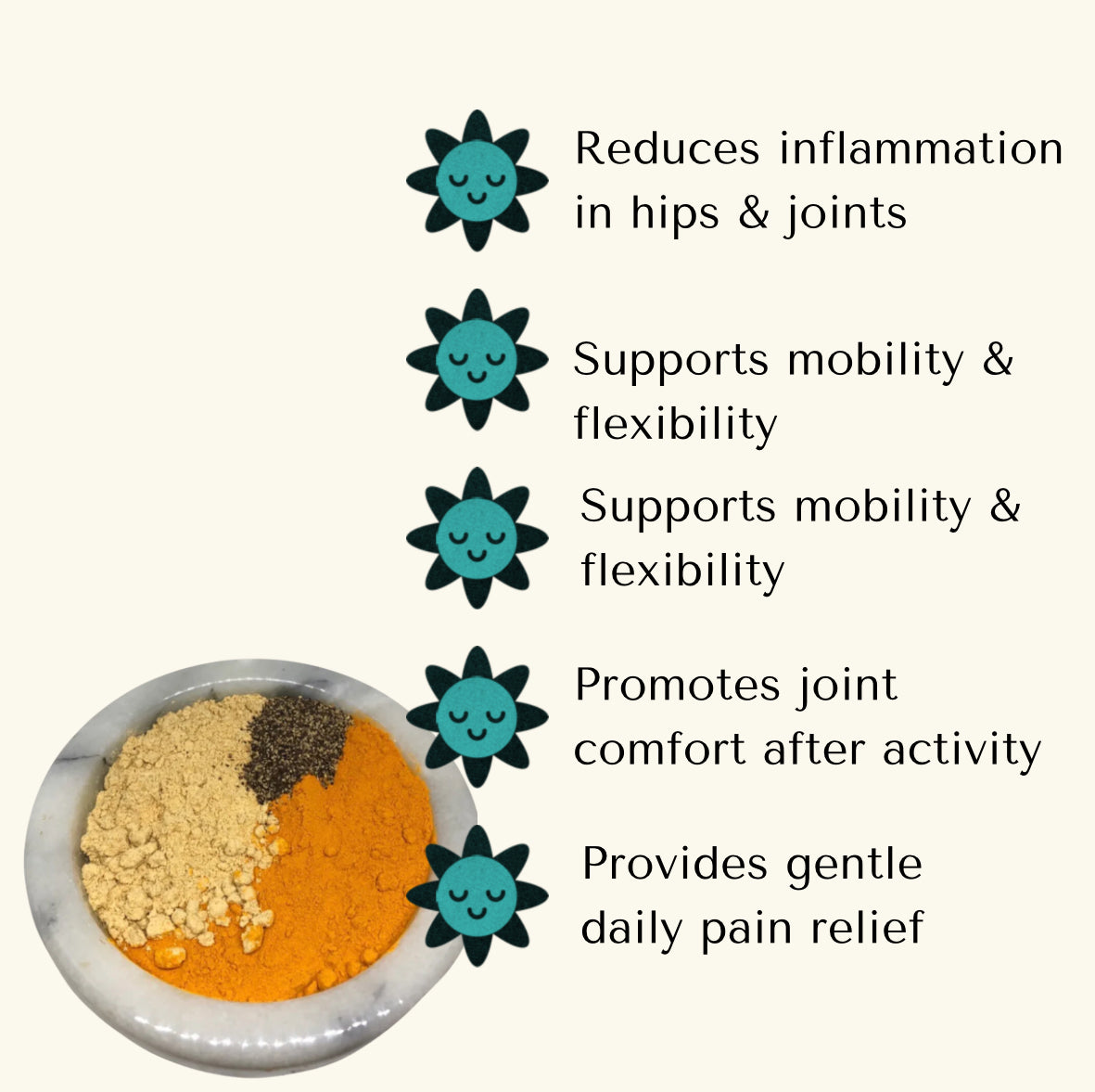 Joint Support — Ginger Joint Powder for Dogs & Cats