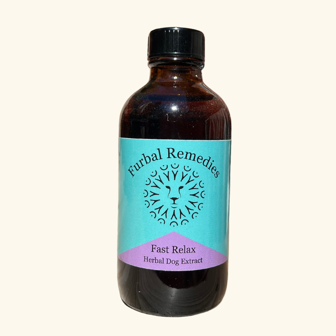 Anxiety - Fast Relax Extract For Dogs - Canine Supplement