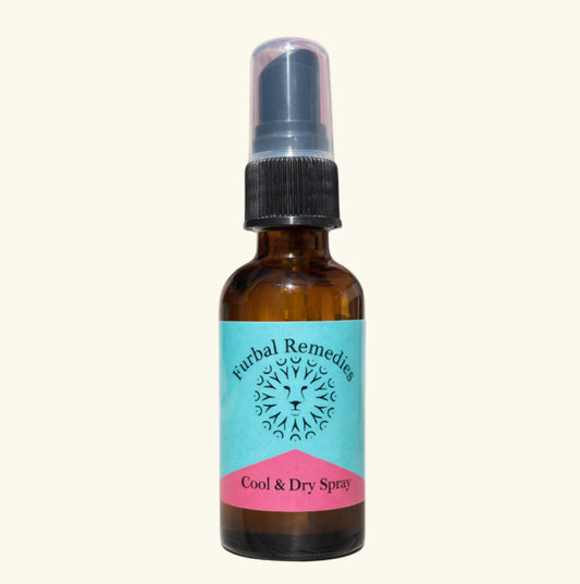 First Aid - Cool & Dry Spray for Dogs & Cats