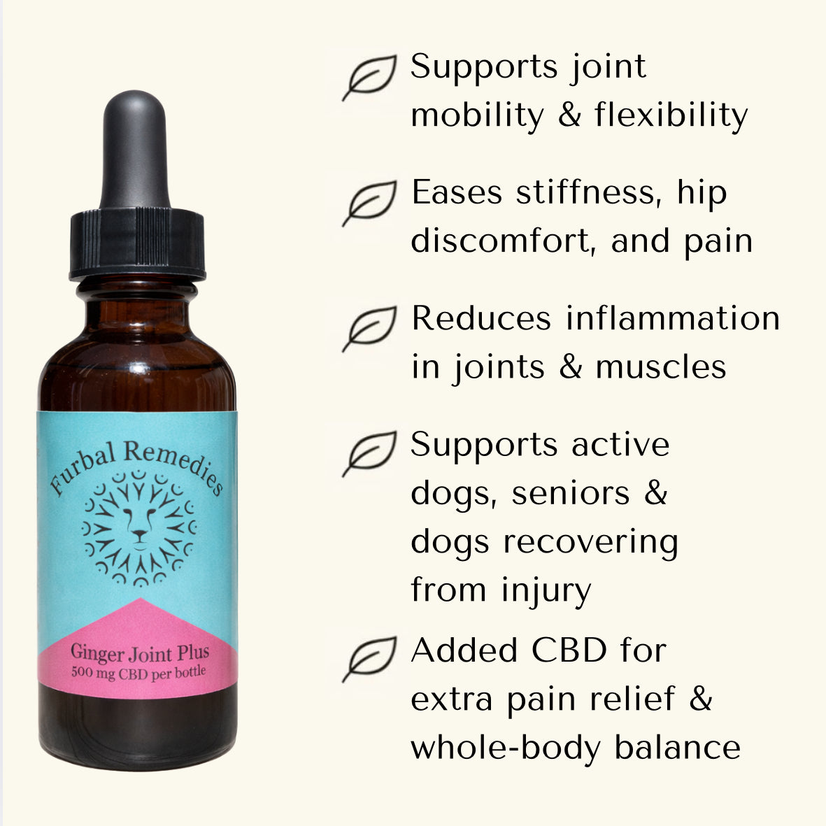 Joint Support — Ginger Joint Plus+ CBD Extract for Dogs & Cats