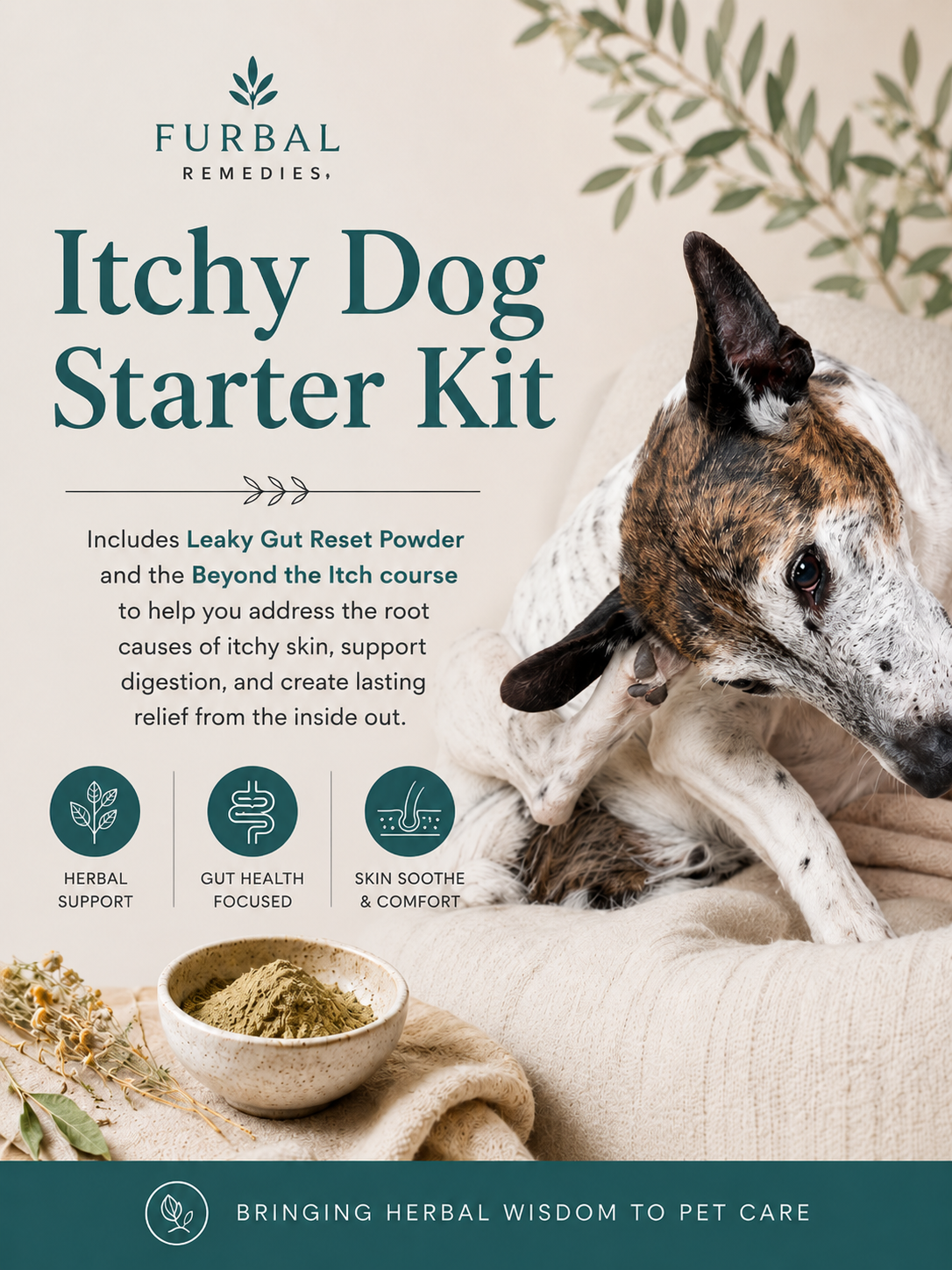 Digestive Intolerances: The Itchy Dog Starter Kit