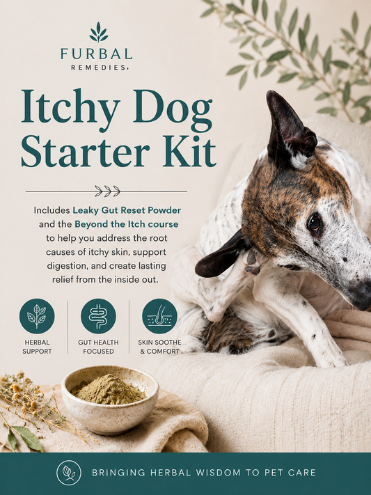 Digestive Intolerances: The Itchy Dog Starter Kit