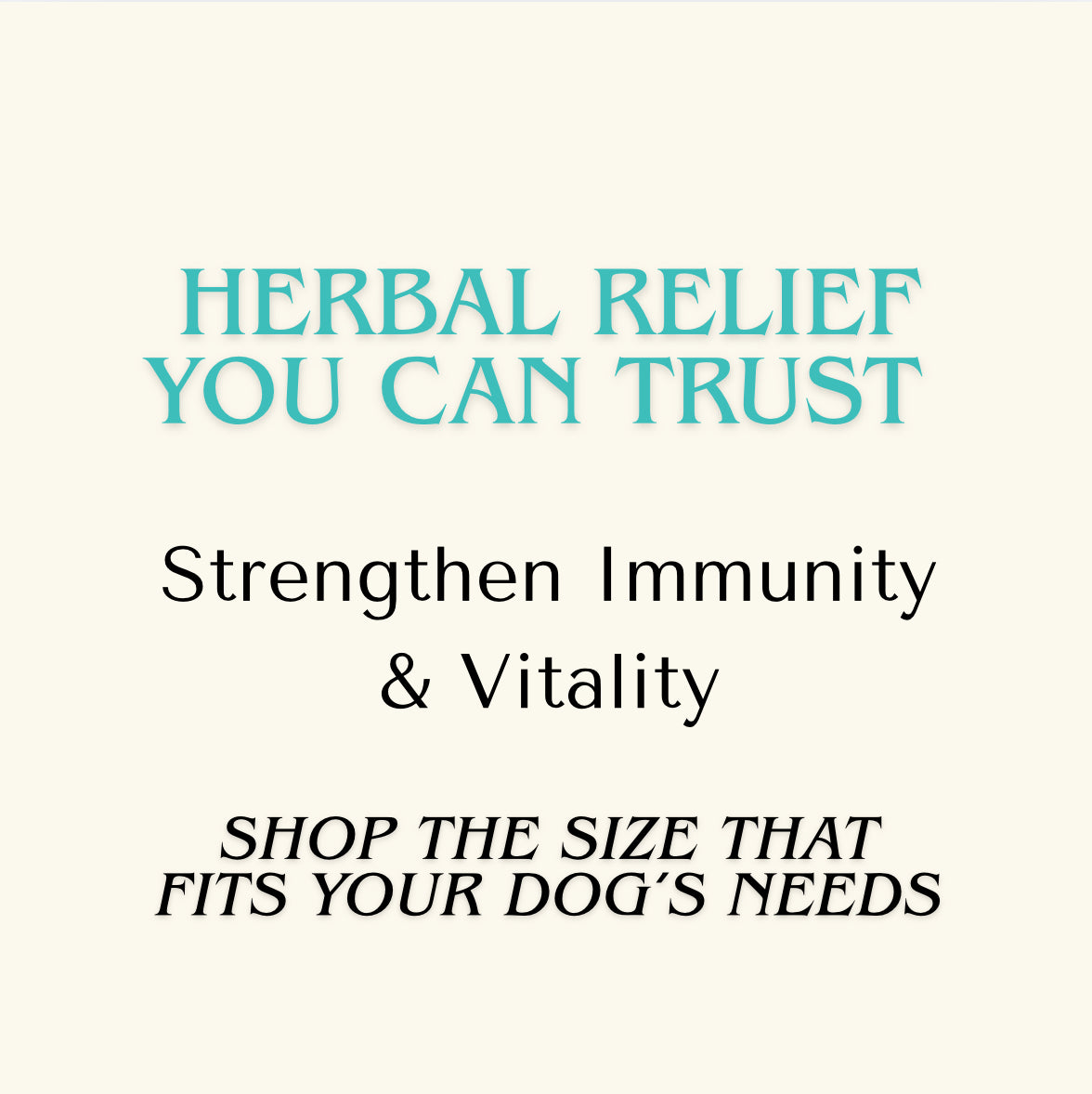 Immune Support — Chaga Mushroom Extract for Dogs & Cats