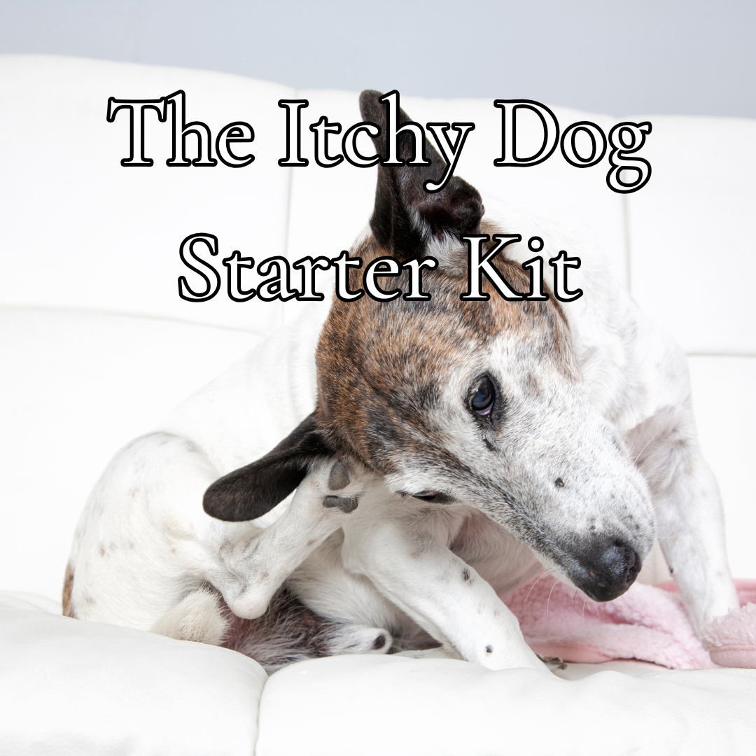 Digestive Intolerances: The Itchy Dog Starter Kit