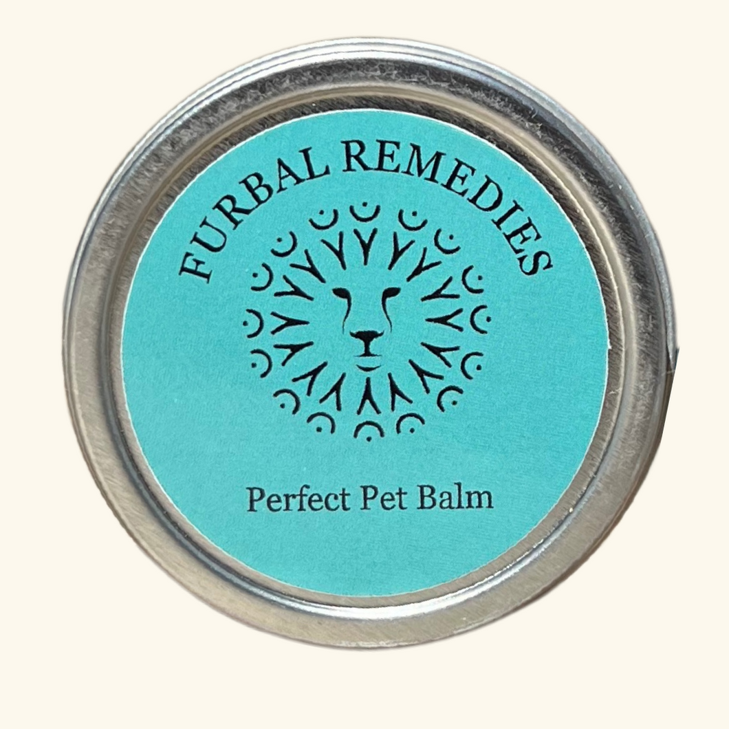 Topical Care - Perfect Pet Balm - Canine & Feline First Aid - Wholesale Only